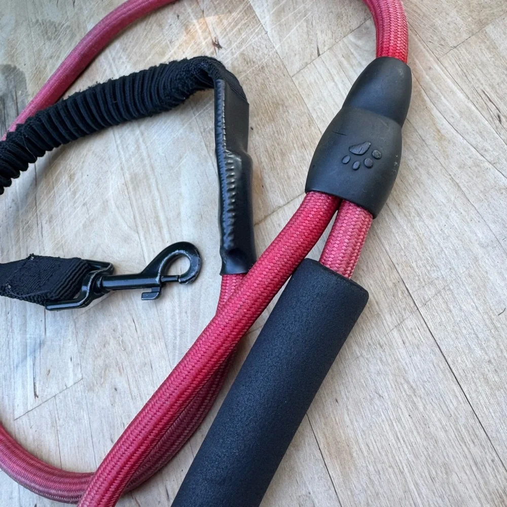 Red and Black Bungee Dog Leash